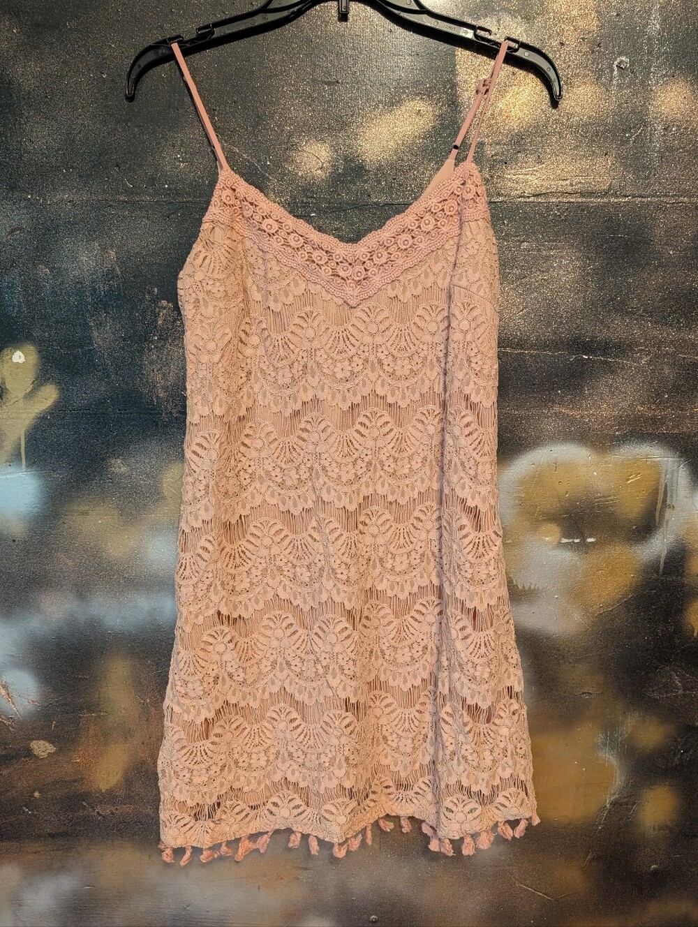 Xtraordinary Pink Lace Chemise Dress with Tassel Hem